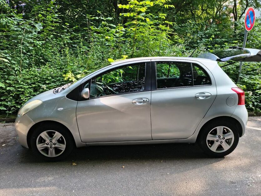 Auris