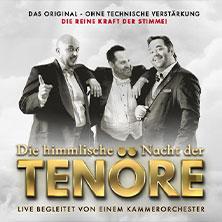 Himmlische Nacht der Tenöre - Das Original - Live und ohne technische Verstärkung 10.02.2026 Christuskirche