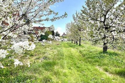 Freistehendes Viebrockhaus auf 1825 m² Traumgrundstück in 2. Reihe!