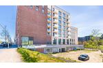 Erdgeschoßwohnung Hamburg Hamburg-Mitte - 3 Zimmer, 88 m&sup2;, 2.250&euro; | Angebot:26384170