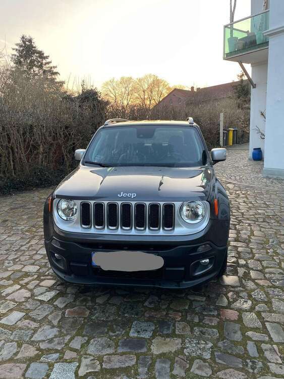 Renegade