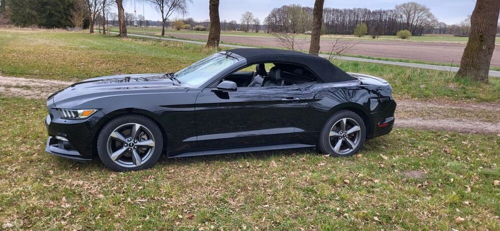 Mustang