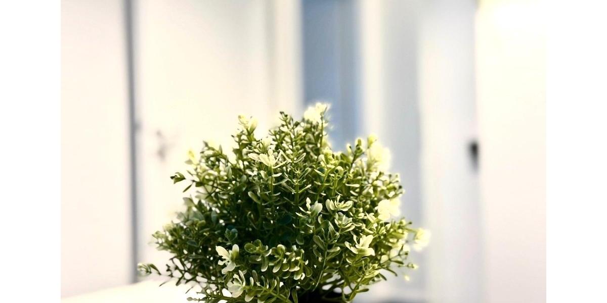 Etagenwohnung Hamburg Hoheluft-West - 1 Zimmer, 55 m&sup2;, 750&euro; | Angebot:26271452