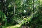 Bungalow Hamburg Hausbruch - 4 Zimmer, 123 m&sup2;, 649.000&euro; | Angebot:26402122