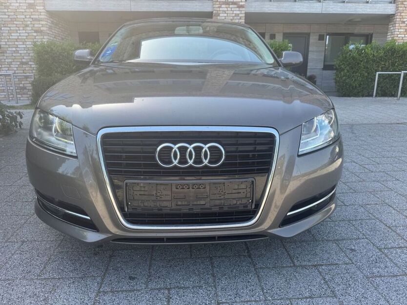 A3