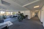 Gewerbeobjekt Hamburg Wandsbek - 2.511&euro; | Angebot:25891723