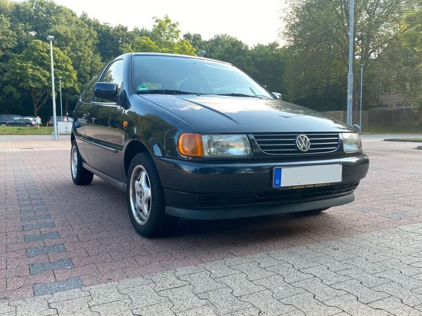 Polo