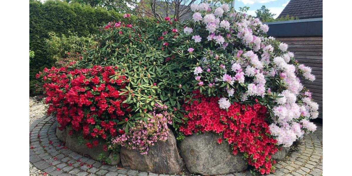 Einfamilienhaus Hamburg Altengamme - 5 Zimmer, 153 m&sup2;, 729.000&euro; | Angebot:25821707