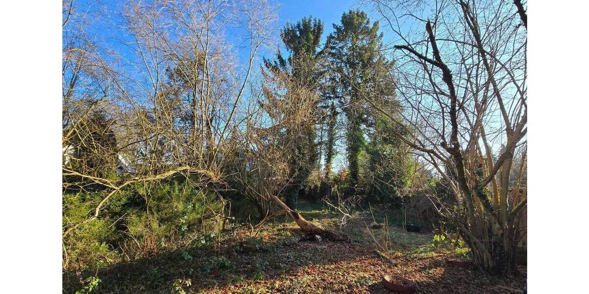 Einfamilienhaus Hamburg Bergstedt - 4 Zimmer, 100 m&sup2;, 449.000&euro; | Angebot:25655689