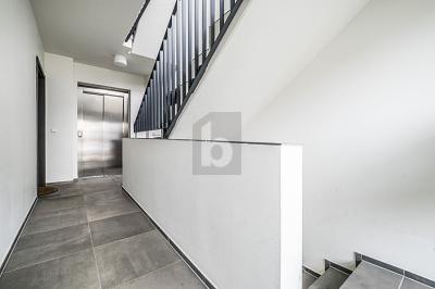 INVESTITION IM HAMBURGER WESTEN - Mehrfamilienhaus, Wohnhaus Hamburg Schnelsen Schnelsen | Angebot:26055968