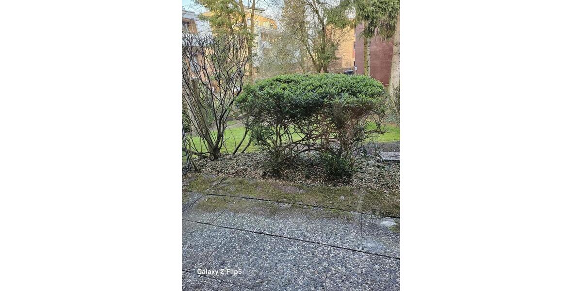 Erdgeschoßwohnung Hamburg Eppendorf - 2 Zimmer, 52 m&sup2;, 950&euro; | Angebot:26227763