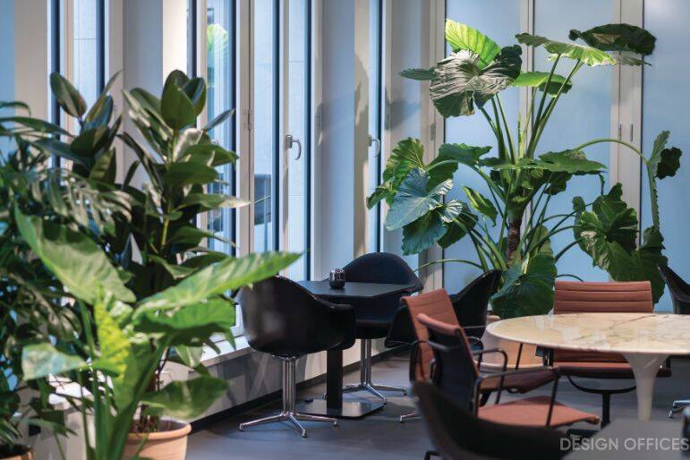 Gewerbeobjekt Hamburg Hammerbrook - 5.800&euro; | Angebot:26033998