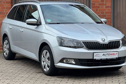 Skoda Fabia 140.000 km 7.499 &euro; Geesthacht (bei Hamburg) 21502