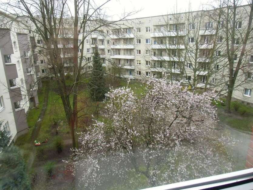 Wohnung zum Kaufen in Hamburg 298.000 € 65 m²