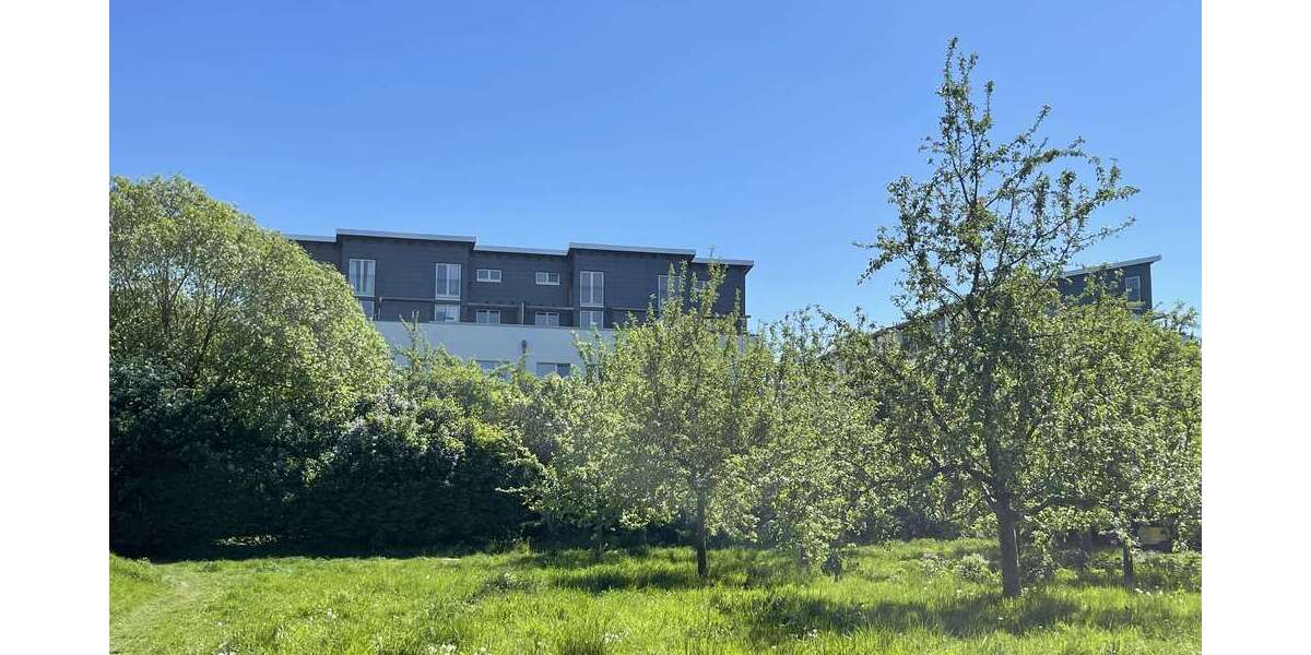 Etagenwohnung Hamburg Wandsbek - 3 Zimmer, 67 m&sup2;, 389.000&euro; | Angebot:26883144