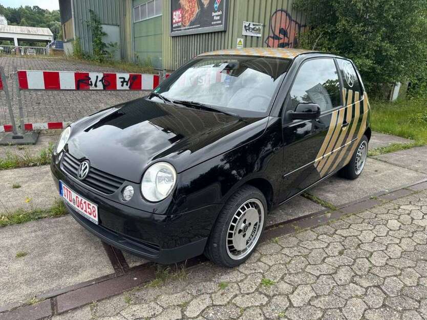 Lupo