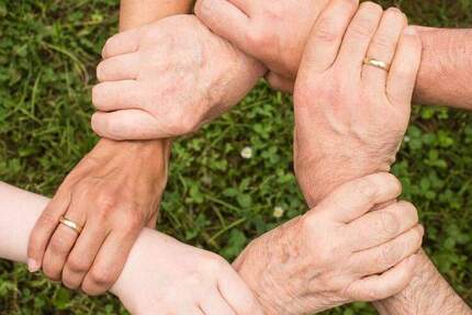 Bien-Zenker: Modernes Wohnen (mit Einliegerwohnung) im Hamburger Stadtteil - Volksdorf 7 zimmer