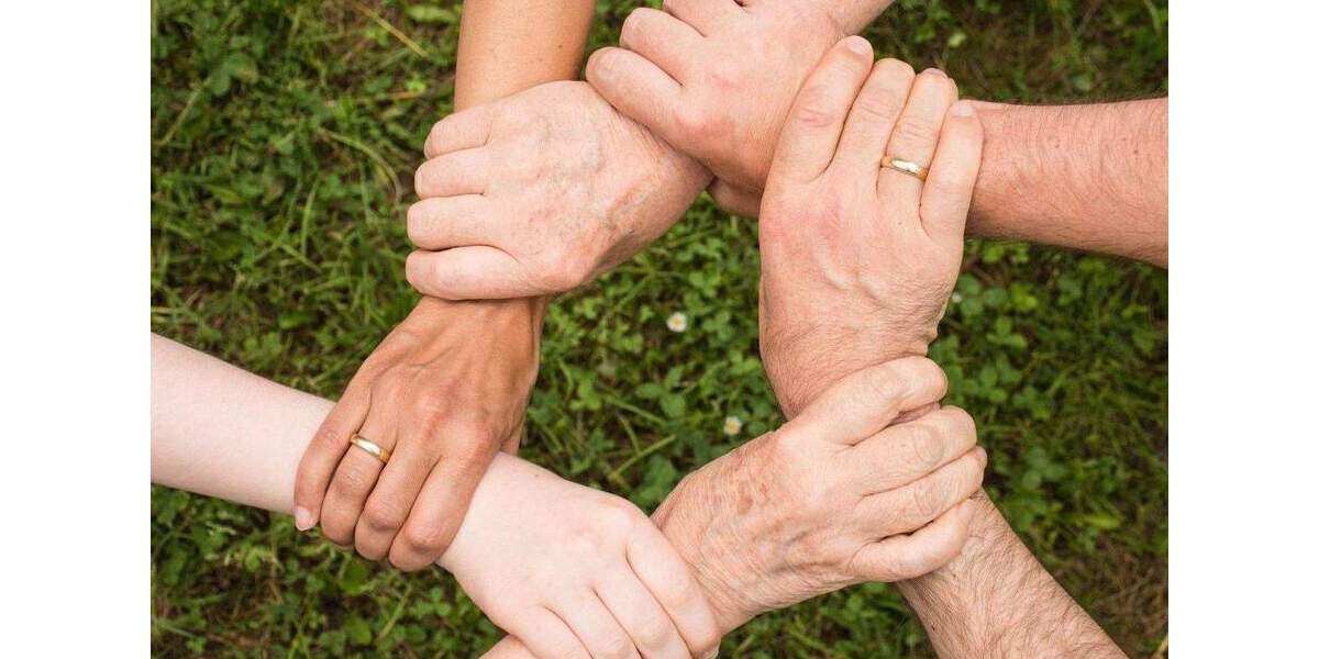 Bien-Zenker: Modernes Wohnen (mit Einliegerwohnung) im Hamburger Stadtteil - Volksdorf 7 zimmer