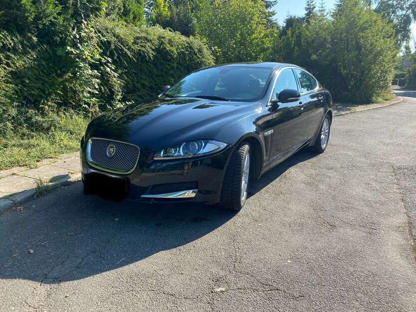 XF