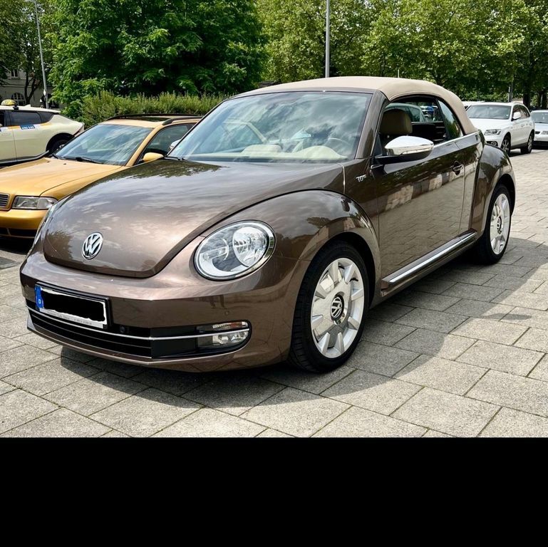 Beetle