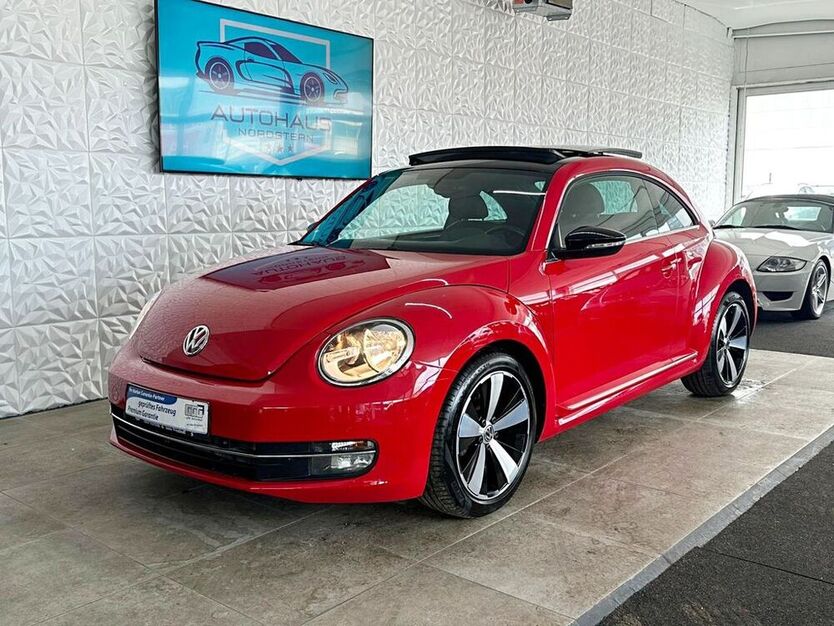Beetle