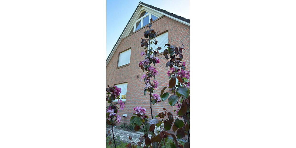 Einfamilienhaus Wedel - 5 Zimmer, 160 m&sup2;, 760.000&euro; | Angebot:26847409