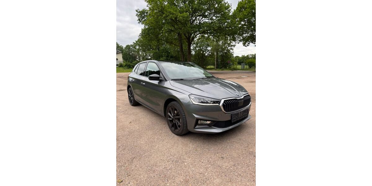 Skoda Fabia 46.258 km 17.500 &euro; Buchholz 21244