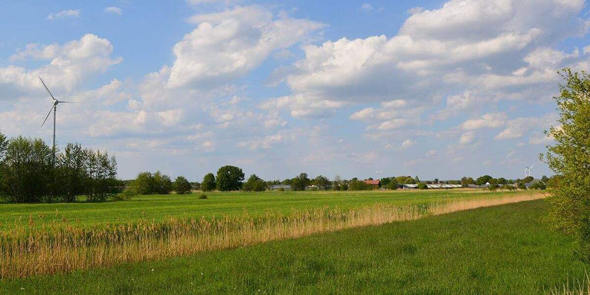 Bungalow Schleswig-Holstein Tangstedt - 4 Zimmer, 101 m&sup2;, 1.550&euro; | Angebot:24776303