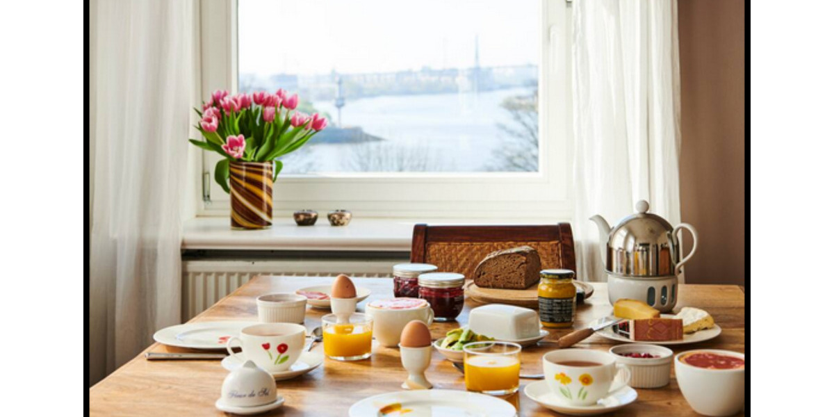 Altbauperle mit Elbblick zur Zwischenmiete für 3 Monate ab Jan 26 2 zimmer