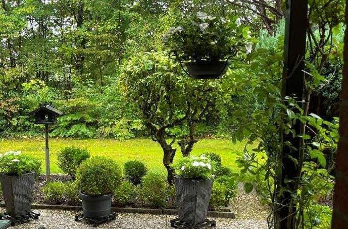 Etagenwohnung Hamburg Marmstorf - 2 Zimmer, 71 m&sup2;, 195.000&euro; | Angebot:25697198