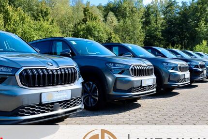 Skoda Kodiaq 1.080 km 41.490 &euro; Harmstorf/Hamburg 21228