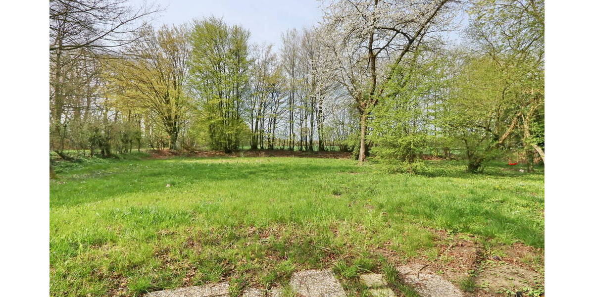 Etagenwohnung Hoisdorf - 5 Zimmer, 147 m&sup2;, 1.290&euro; | Angebot:26714302