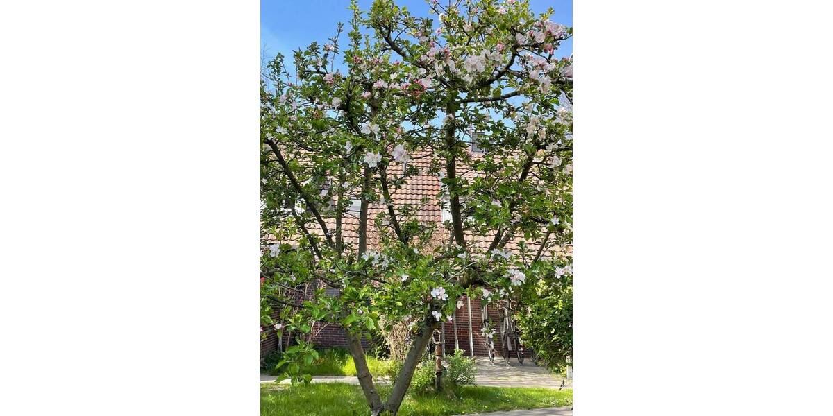 Etagenwohnung Hamburg Bergstedt - 1 Zimmer, 44 m&sup2;, 119.000&euro; | Angebot:21576352