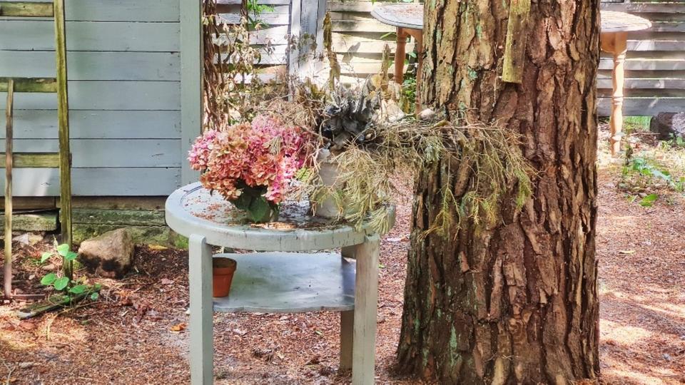 Anfragestopp! Waldhütte zwischen Lüneburg und Lüneburger Heide 1.5 zimmer