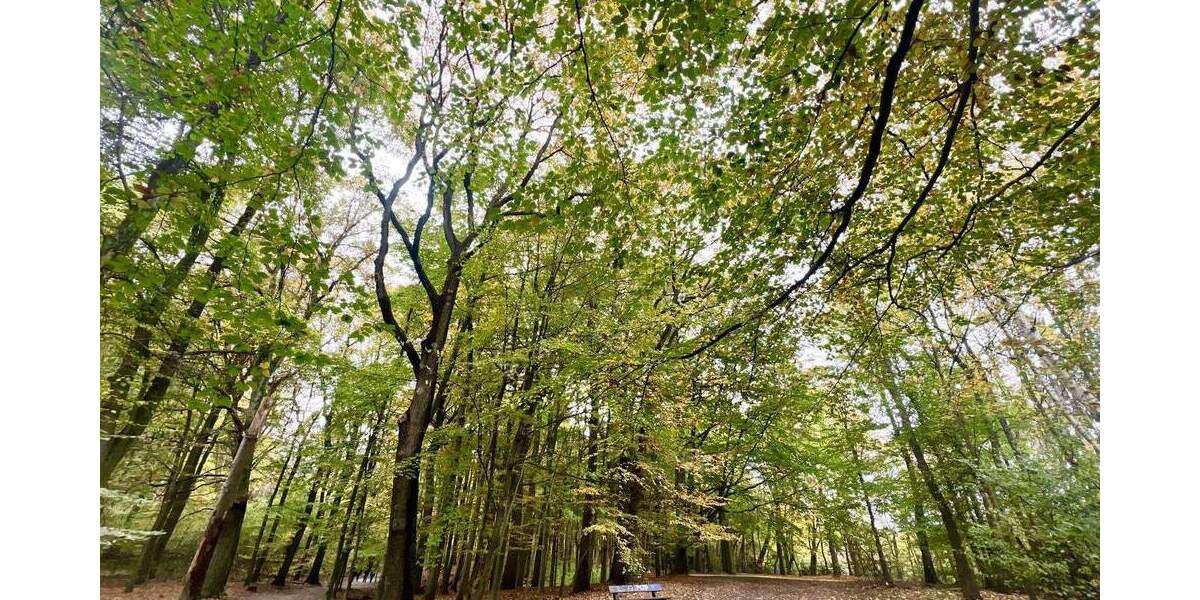 Wohntraum im edlen Blankenese: Zwei großzügige Wohneinheiten in idyllisch ruhiger Wohnlage 7 zimmer