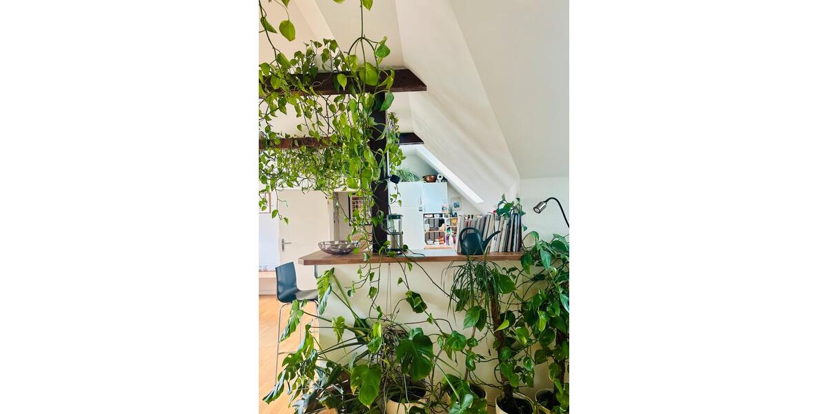 Dachgeschoßwohnung Hamburg Altstadt - 2 Zimmer, 63 m&sup2;, 1.115&euro; | Angebot:26427457