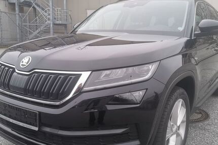 Skoda Kodiaq 185.000 km 17.999 &euro; Neu Wulmstorf 21629