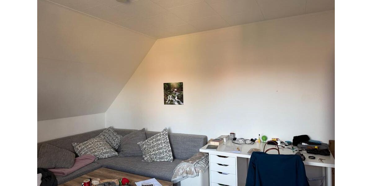 Dachgeschoßwohnung Rellingen - 2 Zimmer, 48 m&sup2;, 850&euro; | Angebot:26322844