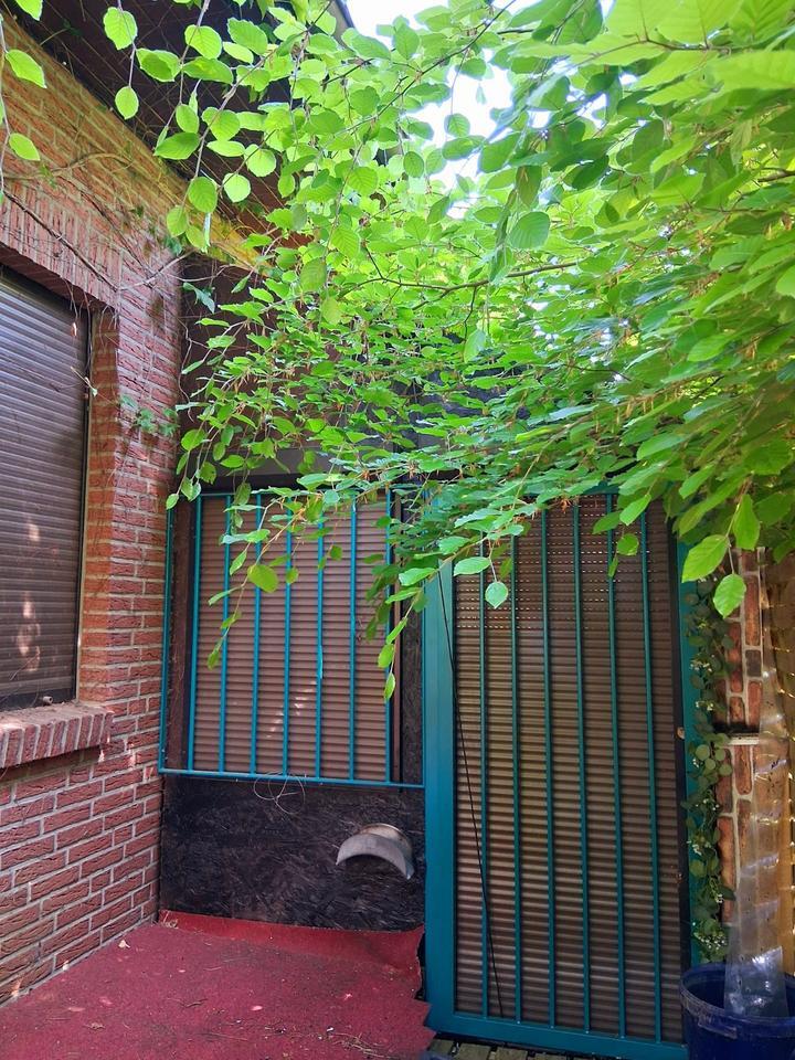 exklusives Haus - 30 Zone - sofort bezugsfrei - Grenze Krupunder zimmer