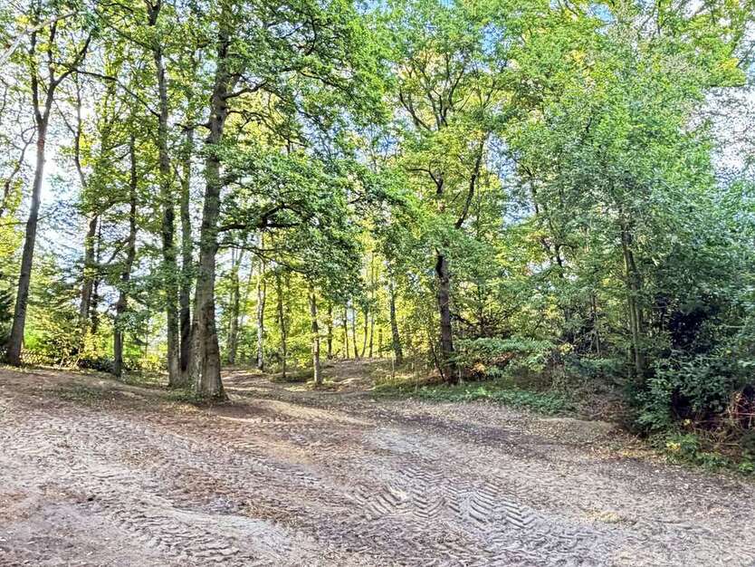 Grundstück zu verkaufen in Seevetal 695.000 € 4018 m² zimmer