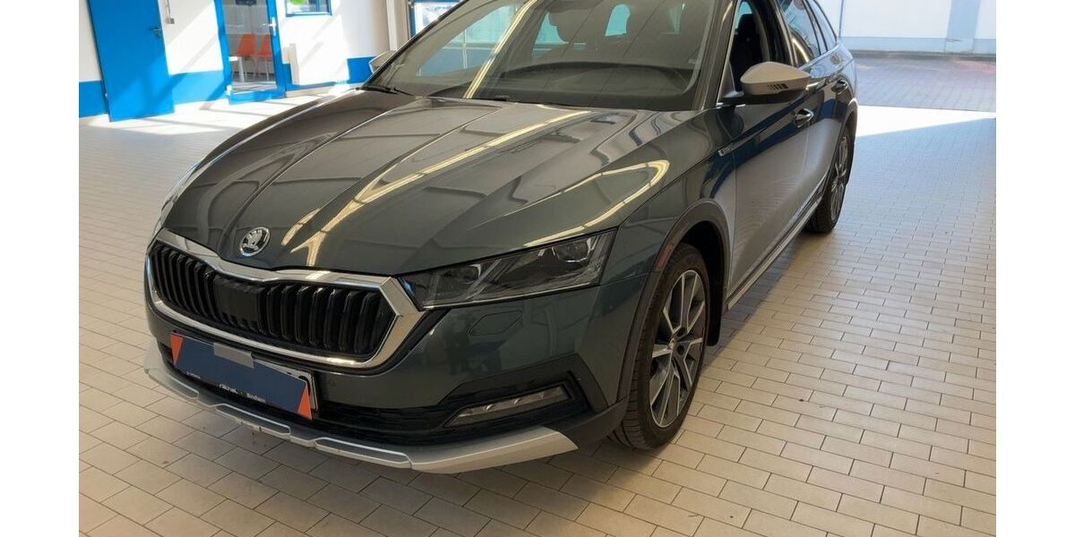 Skoda Octavia 15.000 km 29.490 &euro; Geesthacht bei Hamburg 21502