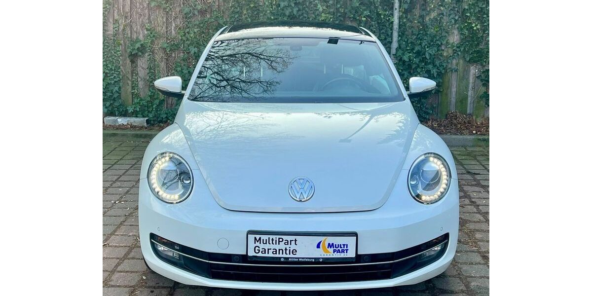 VW Beetle 97.000 km 10.999 € Hamburg 22147