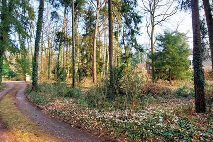 Grundstück zu verkaufen in Buchholz 379.000 € 1575 m² zimmer