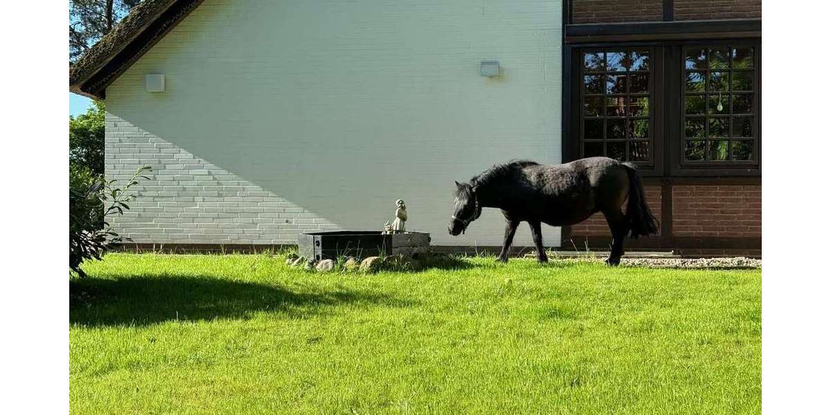 Einfamilienhaus Winsen Luhdorf Luhdorf - 8 Zimmer, 340 m&sup2;, 1.300.000&euro; | Angebot:26759257