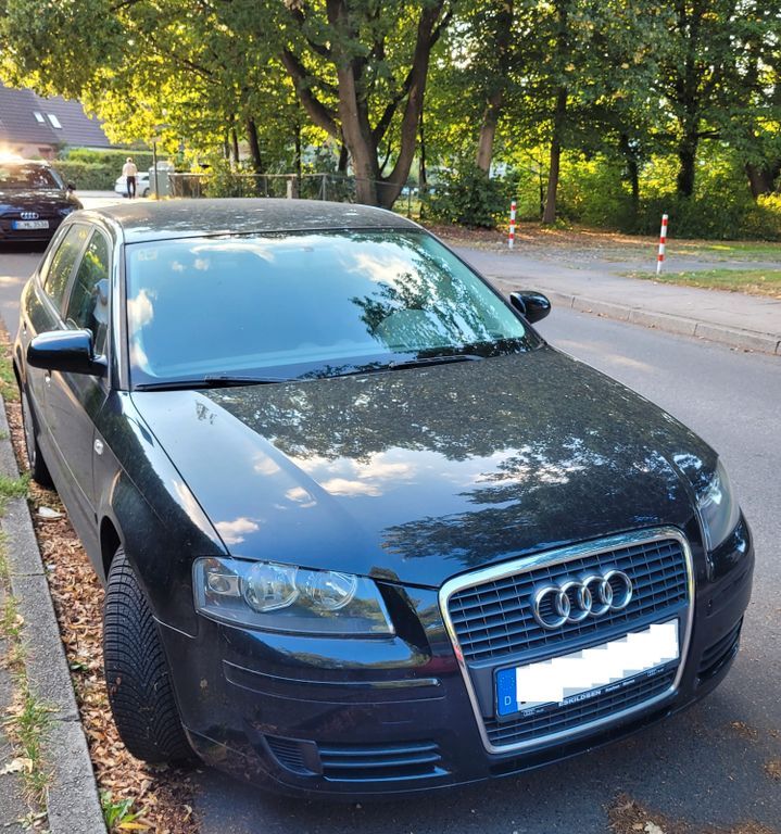 A3