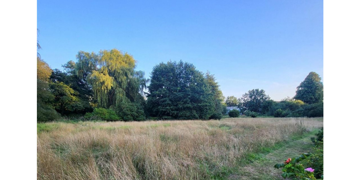 Mehrfamilienhaus, Wohnhaus Hamburg Rahlstedt - 1 Zimmer, 405 m&sup2;, 3.800.000&euro; | Angebot:26053681