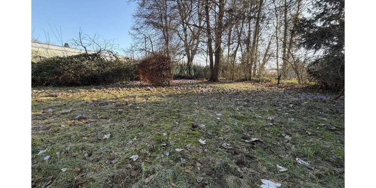 Grundstück Tornesch - 249.000&euro; | Angebot:25398938