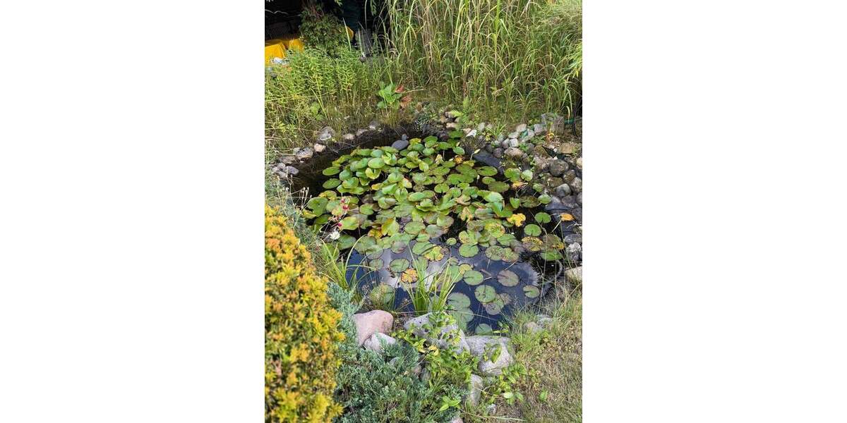 Einfamilienhaus Hamburg Bramfeld - 5 Zimmer, 120 m&sup2;, 695.000&euro; | Angebot:25700495