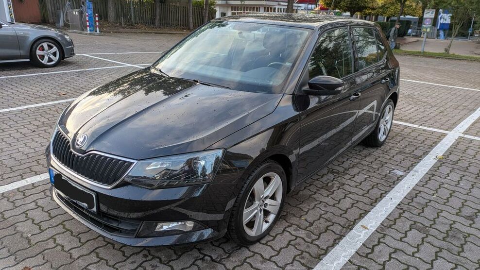 Skoda Fabia 117.000 km 7.698 € Norderstedt 22844