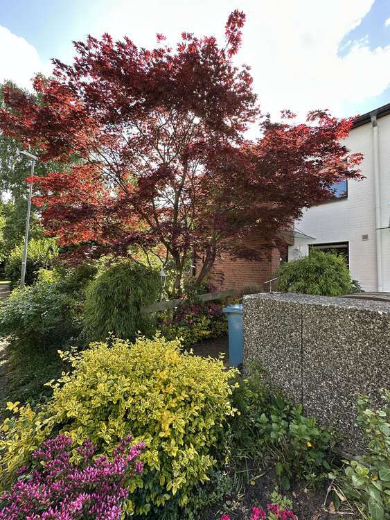 Haus zum Kaufen in Bargteheide 439.500 € 137 m²